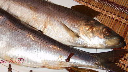 Рецепт Сельди домашнего посола