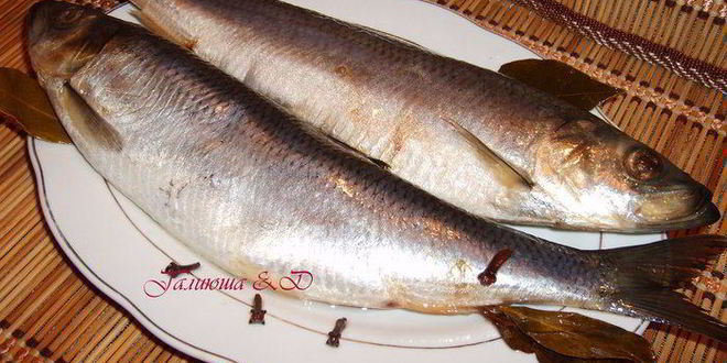 Рецепт сельди домашнего посола