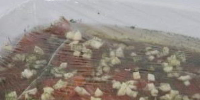 Рецепт семги слабосоленой