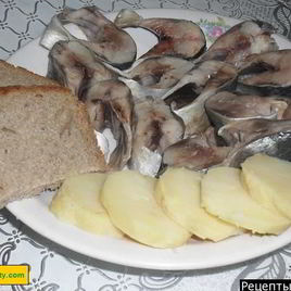 Рецепт Слабосоленой селедки