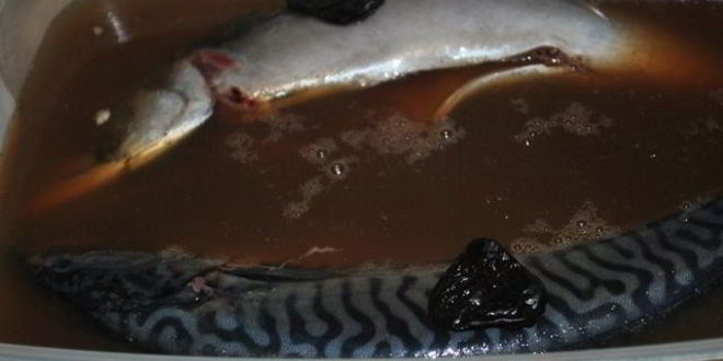 Рецепт соленой скумбрии с черносливом