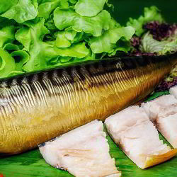 Рецепт Соленой скумбрии