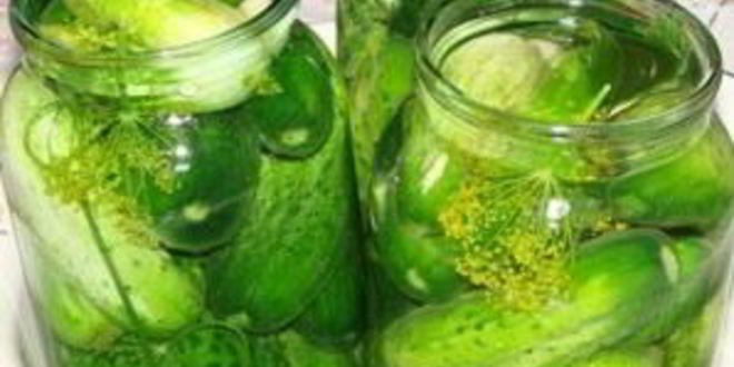 Рецепт закатки малосольных огурцов