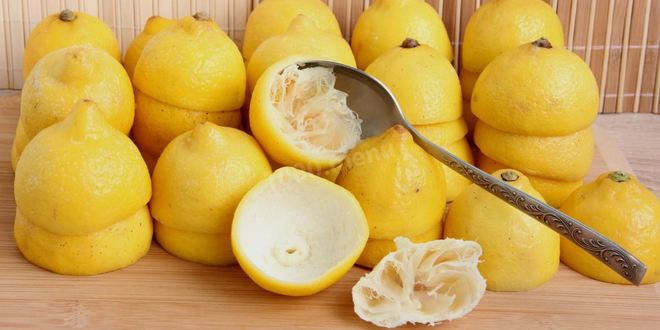 Рецепт цукатов из лимонной кожуры