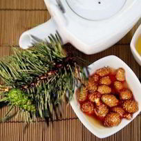 Рецепт Варенья из еловых шишек