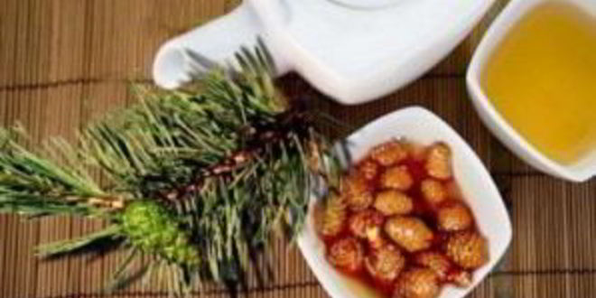 Рецепт варенья из еловых шишек