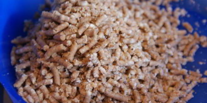 Рецепт витаминной смеси для укрепления иммунитета