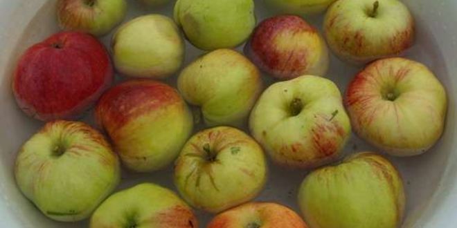 Рецепт яблочного сока на зиму