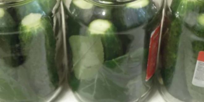 Рецепт заготовки для салатов