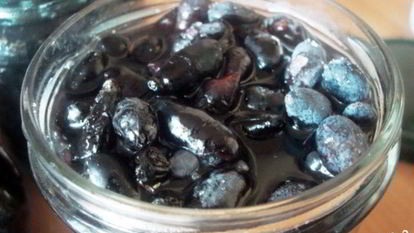 Рецепт Жимолости на зиму