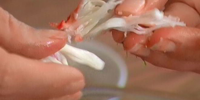 Рецепт брускетты с крабами