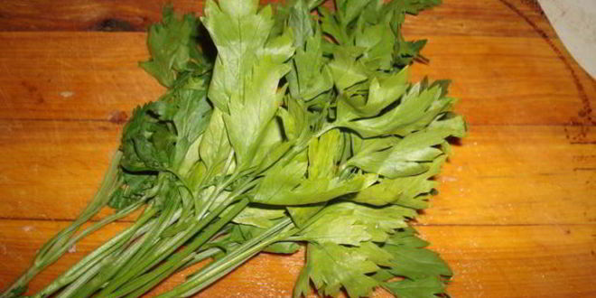 Рецепт гамбургера с грибами и белым вином