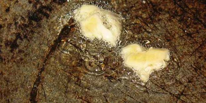 Рецепт буррито