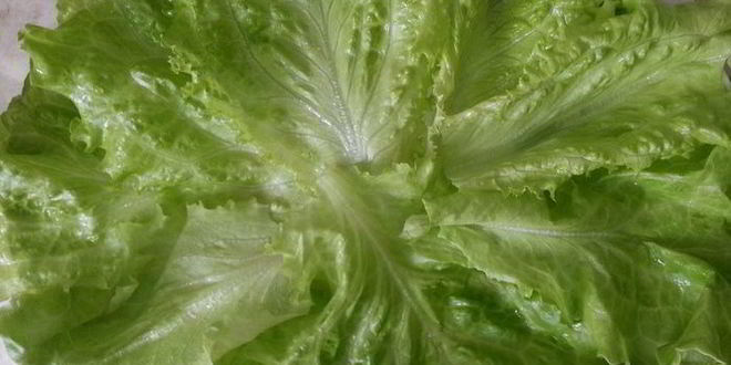 Рецепт эстонского бутерброда