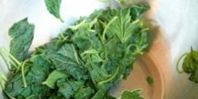 Рецепт гренков с крапивой