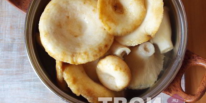 Рецепт икры из груздей