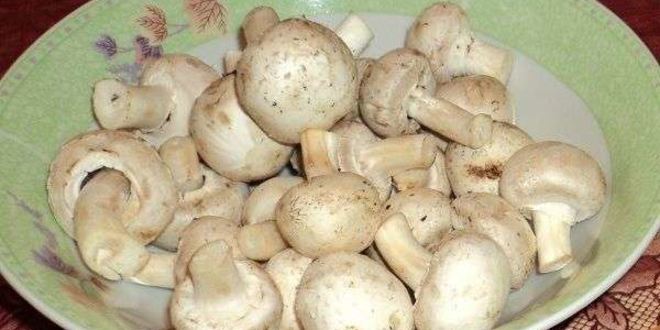 Рецепт икры из шампиньонов