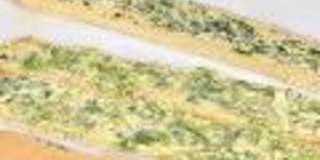 Рецепт канапе ассорти