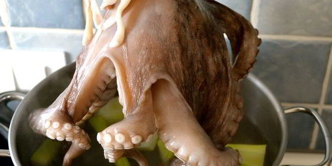 Рецепт карпачча из осьминога