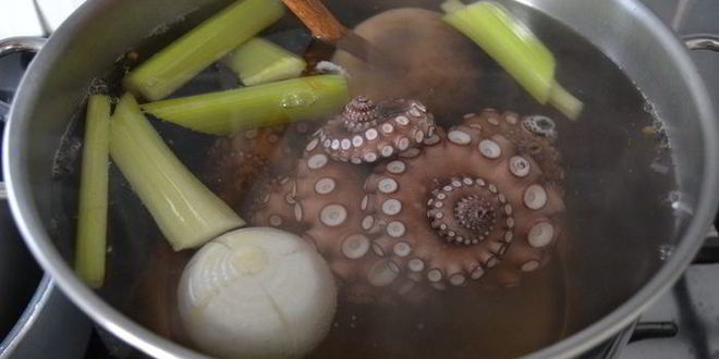 Рецепт карпачча из осьминога