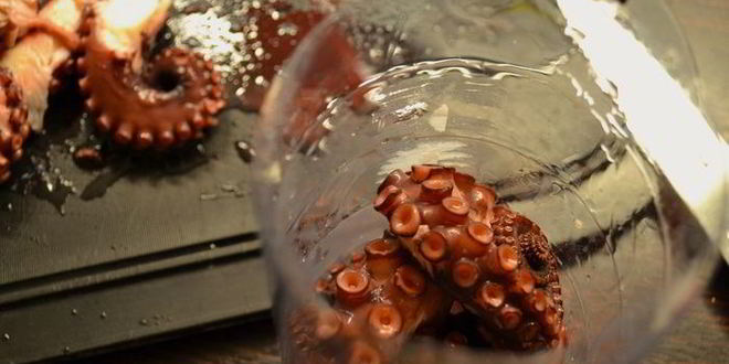 Рецепт карпачча из осьминога