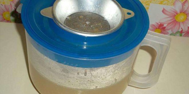 Рецепт домашнего холодца из свинины