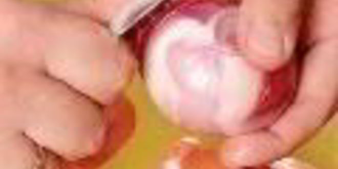 Рецепт холодца гояжьей рульки и копыта