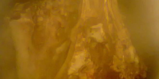 Рецепт холодца из свинины