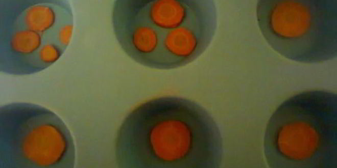 Рецепт холодца из свинины