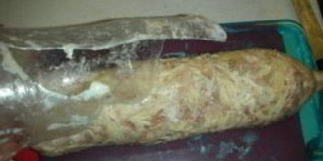 Рецепт холодца в бутылке поросенок