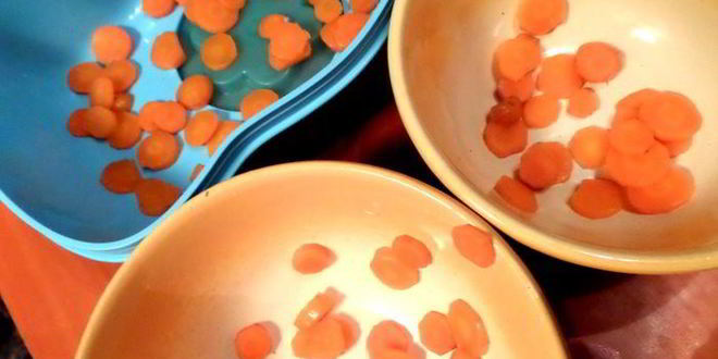 Рецепт нежного холодца