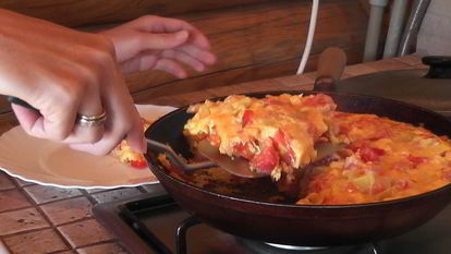 Рецепт вкусного омлета