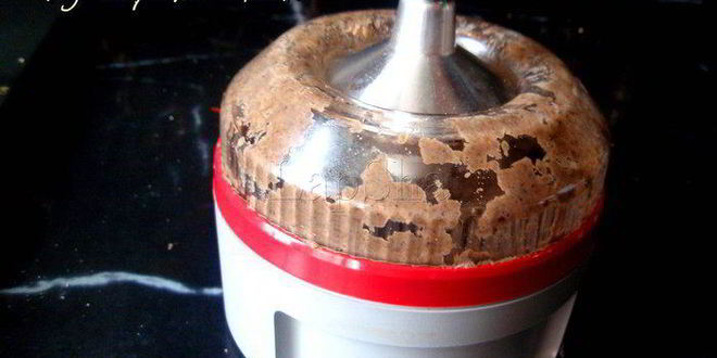 Рецепт паштета из фасоли с грибами