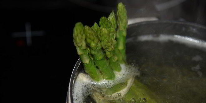 Рецепт семги с соусом эскарго и овощными роллами