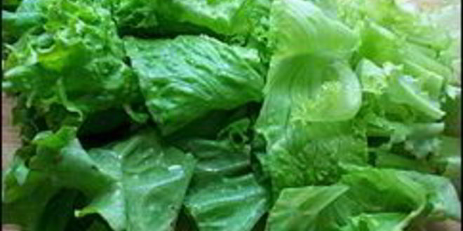 Рецепт многослойного рулета из лаваша с тунцом, зеленым салатом, помидорами, яйцом, сыром и зеленью