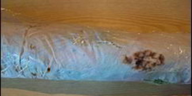 Рецепт многослойного рулета из лаваша с тунцом, зеленым салатом, помидорами, яйцом, сыром и зеленью