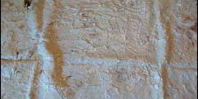 Рецепт многослойного рулета из лаваша с тунцом, зеленым салатом, помидорами, яйцом, сыром и зеленью