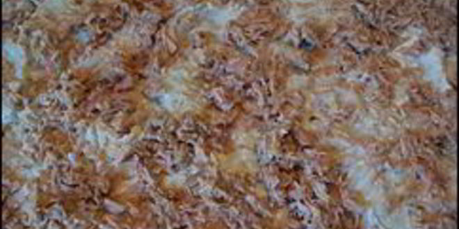 Рецепт многослойного рулета из лаваша с тунцом, зеленым салатом, помидорами, яйцом, сыром и зеленью