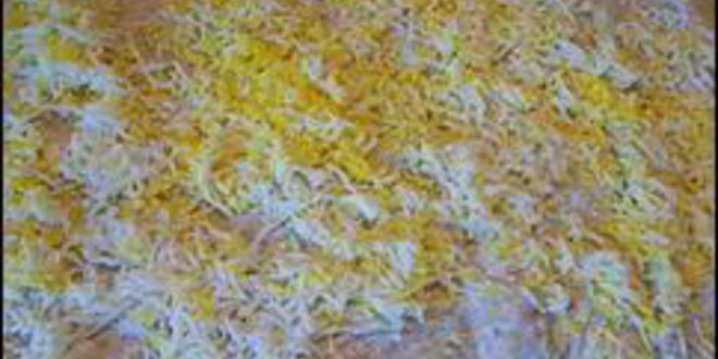 Рецепт многослойного рулета из лаваша с тунцом, зеленым салатом, помидорами, яйцом, сыром и зеленью