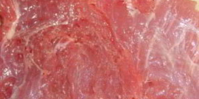 Рецепт рулета из индейки в фольге