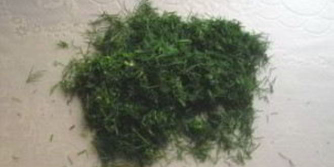 Рецепт рулета из лаваша с курицей