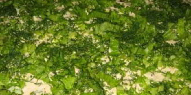 Рецепт рулета из лаваша с овощами и сыром