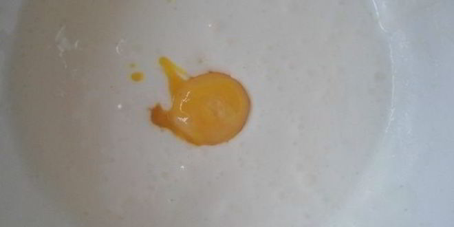 Рецепт рулета с черемухой и рикоттой