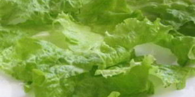 Рецепт шаурмы по-домашнему с мясом