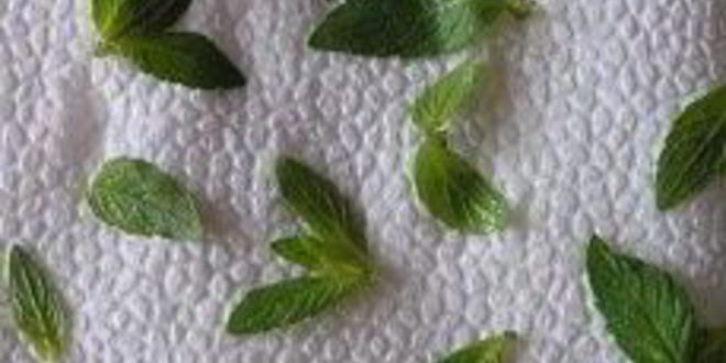 Рецепт сицилийской пеперонаты