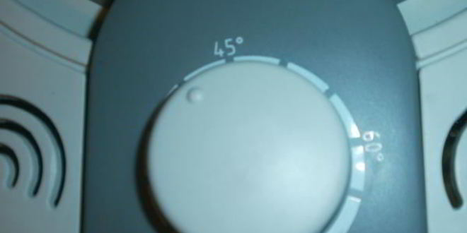 Рецепт сушки слив в электросушилке