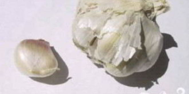 Рецепт румяного сэндвича с помидором