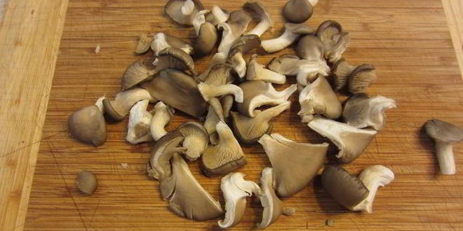 Рецепт сэндвича с моцареллой, грибами и соусом нисуаз