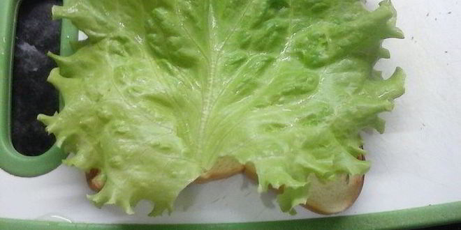 Рецепт сэндвича с омлетом