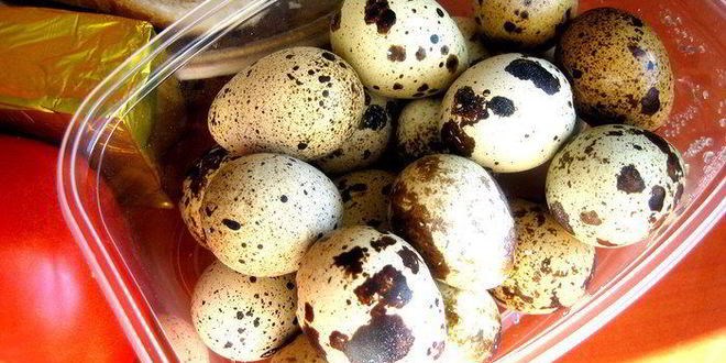 Рецепт сэндвичей с окошком